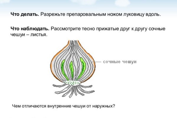 Кракен сайт закладок